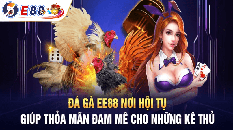 Kinh nghiệm cá cược hiệu quả trong đá gà E88